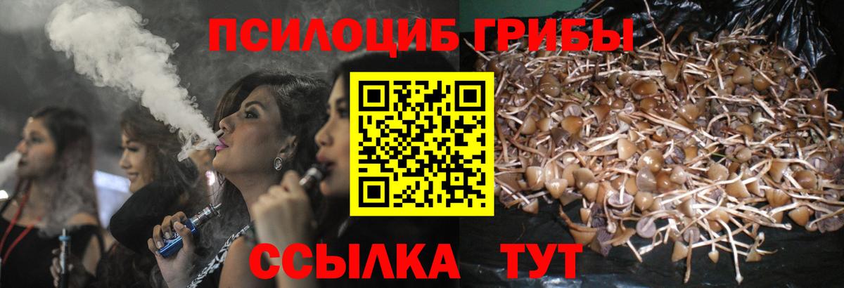 хочу   Вход с VPN  Псилоцибиновые грибы мухоморы  Тавда  Галлюциногенные грибы Magic Shrooms 