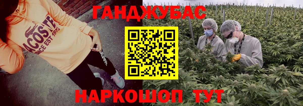 Шишки марихуана гибрид Тавда